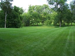 Views of grounds